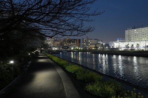 しながわ花海道 東京都品川区 Sd Lighting株式会社